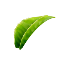 t2-01