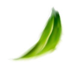 t3-01
